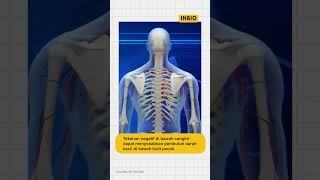 Download lagu The scientific process during cupping mp3