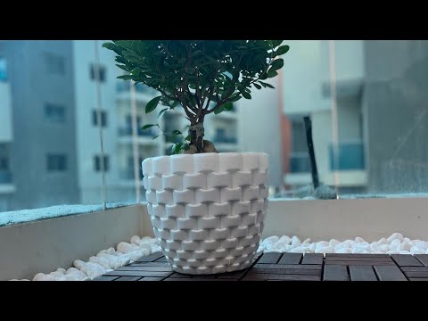 Home tour ,Wasl Green Park , Ras Al khor