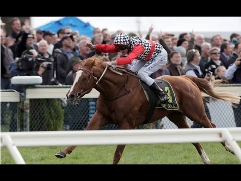 2014 WRC Warrnambool May Races _ Grand Annual _ Cup