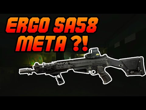 Escape from tarkov: ERGO Sa-58 Insane?