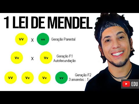 Primeira Lei de Mendel - MELHOR AULA DE GENÉTICA │Biologia com Patrick Gomes