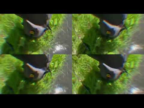 CHAVO FRATE - LA PESCUIT prod. Tonio - 🐟 (F(r)isch aus Zolli EP NEU 2022)