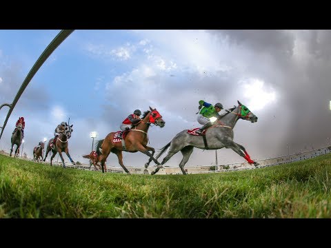 8th Race Meeting of Season 2018/2019