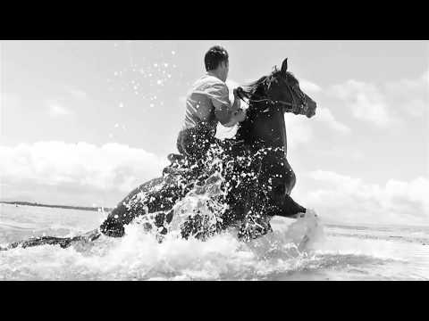 Tomashevsky & StorGe -6- DominanT