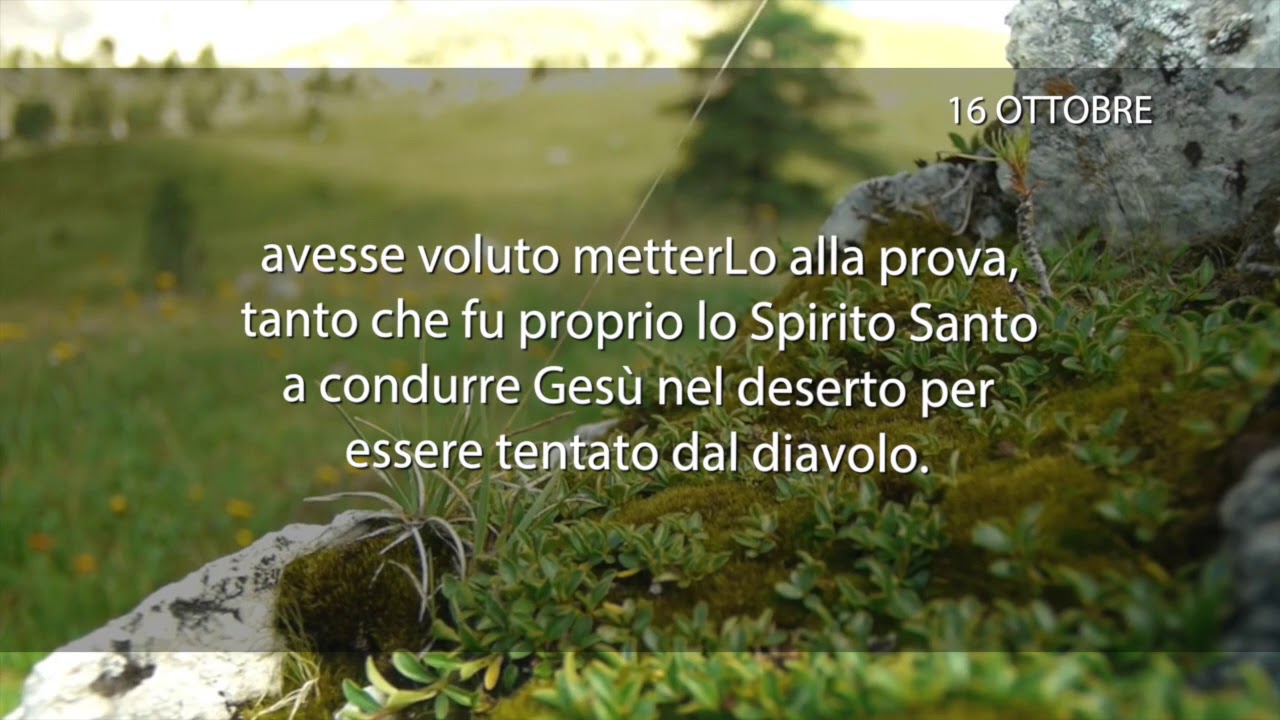 Meditazione del 16 Ottobre 2018 “ IL RIMEDIO MIGLIORE ”
