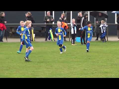 Olde Veste JO9-2JM - MSC JO9-2