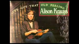 Alison Krauss  Endless Highway