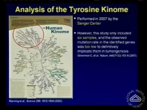 The Genetics of Melanoma: Searching for New Therapeutic Targets - Yardena Samuels