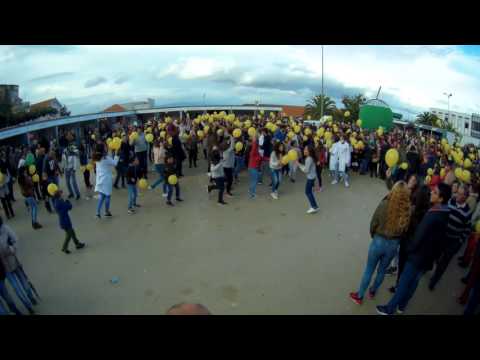 Flashmob Armamar