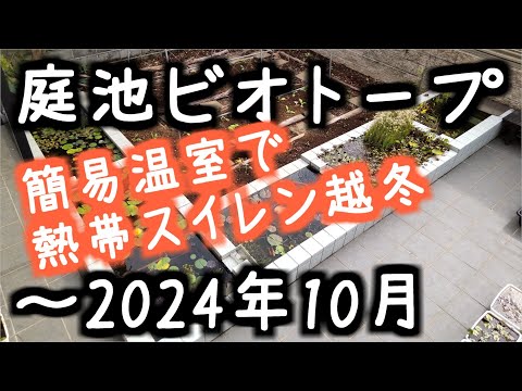 jardin-d'hiver-plantes-chaise-bascule