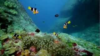 Rock Of Ages instrumental guitar song - Coral (filmed under water) Divers Paradise