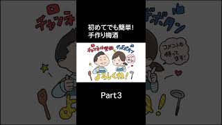 【簡単手作り】梅酒の作り方！失敗しないレシピで丁寧に説明！Part3