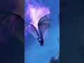 HOTEL TRANSYLVANIA 01 HOTEL TRANSYLVANIA 02 HOTEL TRANSYLVANIA 03 HOTEL TRANSYLVANIA 04