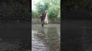 Download lagu ngecrik #ikan mp3