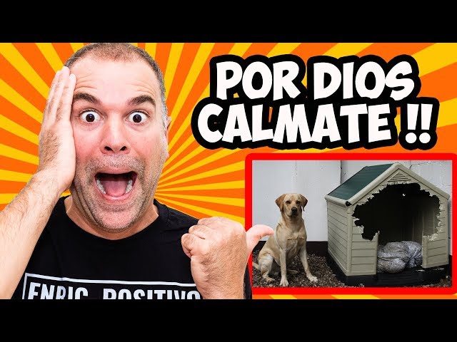 Video Aussprache von calmar in Spanisch