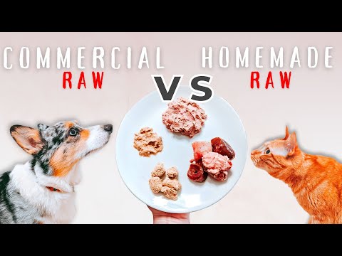 Commercial Vs. Homemade Raw Food - Cat And Dog Choose
