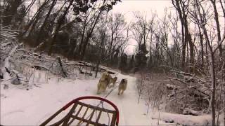 preview picture of video 'Stormhawk Siberians Gone Sleddin''