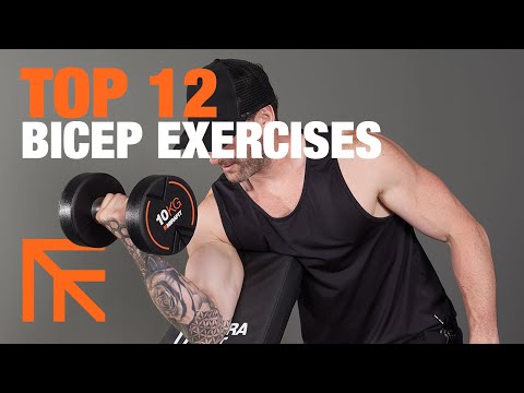 Top Bicep Exercises for a Beach Body | Mirafit