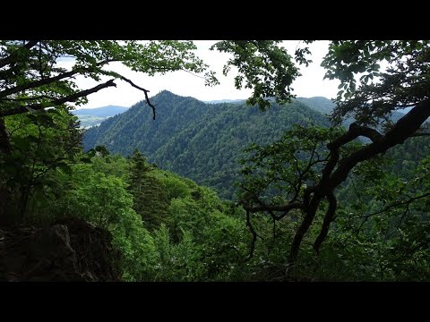 Wyprawa w Pieniny 🤪 / Vlog 3 / Szczawnica-Wąwóz Homole-Szczyty-Spływ Dunajcem-Zamek Dunajec-Urbexy..