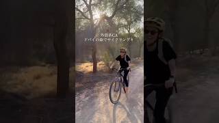 【外資系CA】ドバイの森でサイクリング