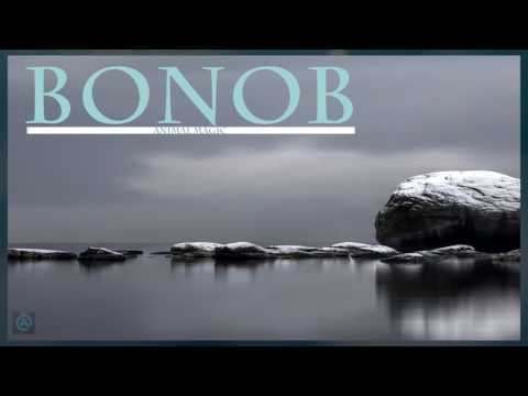 Bonobo - Animal Magic  (Full Album)