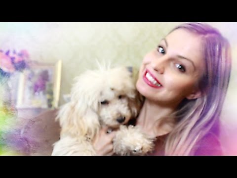 Заказ с AliExpress♥Покупки для собаки♥Ваша Саша♥