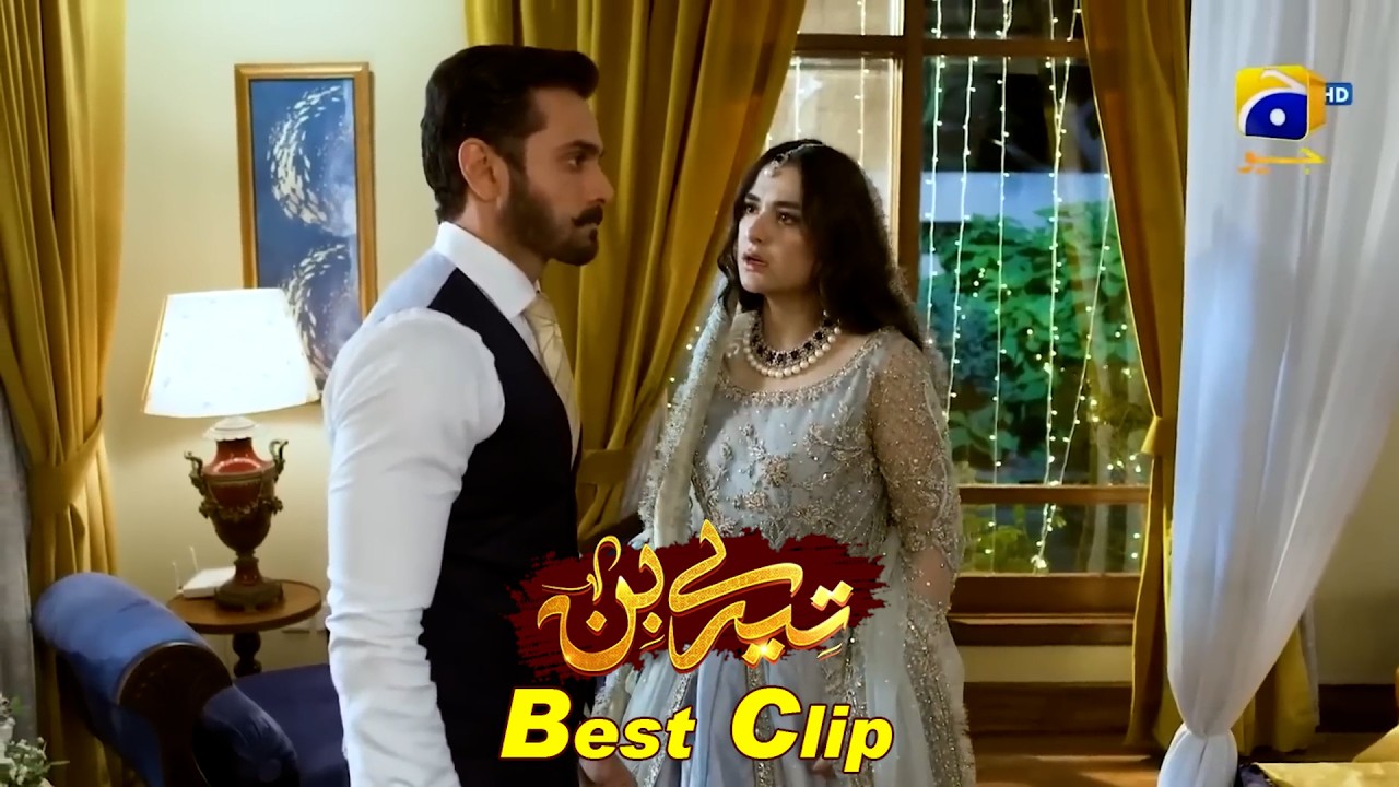 Tere Bin | Best Clip 03 | Yumna Zaidi - Wahaj Ali || Har Pal Geo