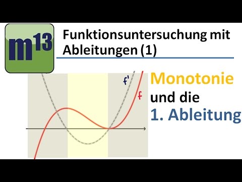 (1.) Monotonicity behavior and the first derivative