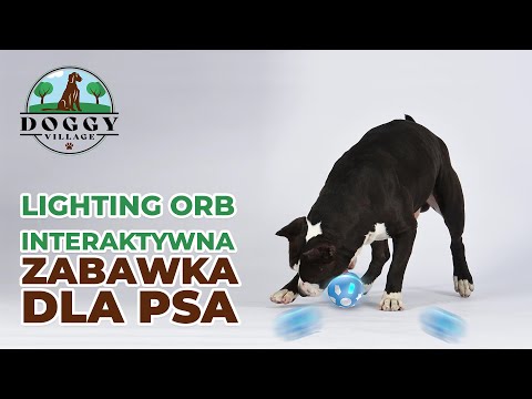 Doggy Village Lighting ORB pakaitinių elementų rinkinys video