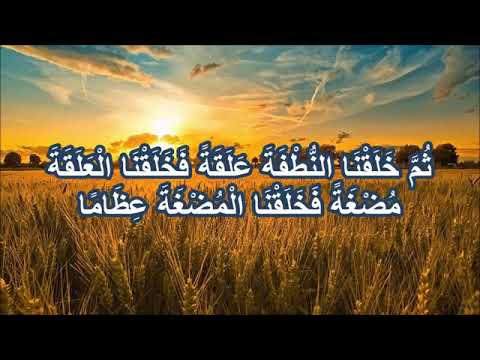 surat al mu'minun 12 14