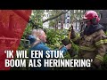 Verdriet om omgevallen bomen storm Poly