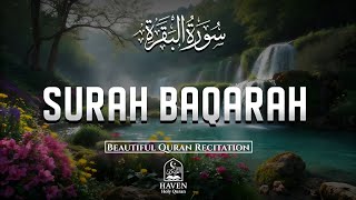 Download lagu Surah Al-Baqarah (سورة البقرة) | Beautiful Quran Recitation for Peace, Protection & Blessings | mp3 Download lagu Surah Al-Baqarah (سورة البقرة) | Beautiful Quran Recitation for Peace, Protection & Blessings | mp3