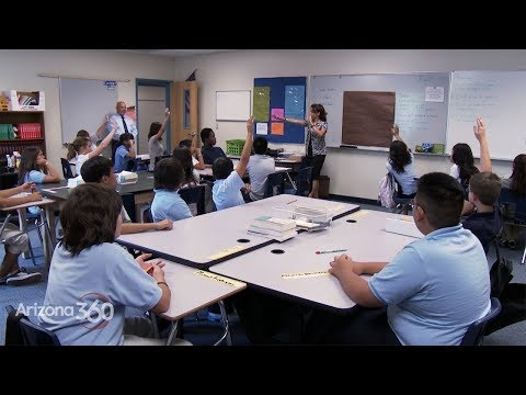 Understanding the Role of School Counselors