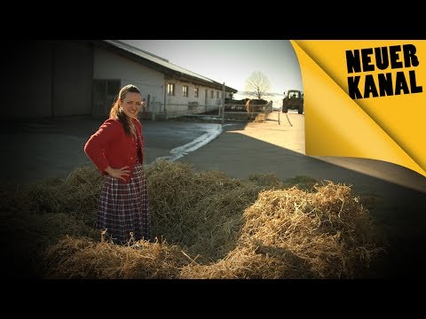 Challenge "Das schaffst du nie": Finde die Nadel im Heuhaufen! || PULS