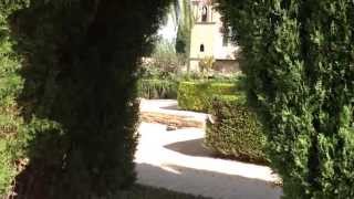 Frame Views to Your Garden