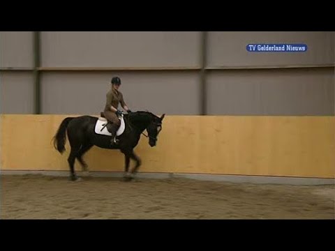 GLD Nieuws 17 maart 2011 - Nieuws