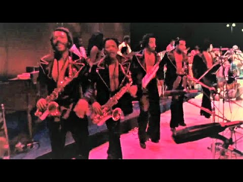 Fred & The New J.B.'s - Rockin' Funky Watergate