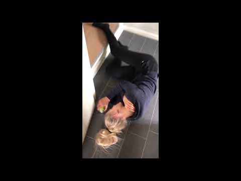 Introvideo brorsonskolen 2018