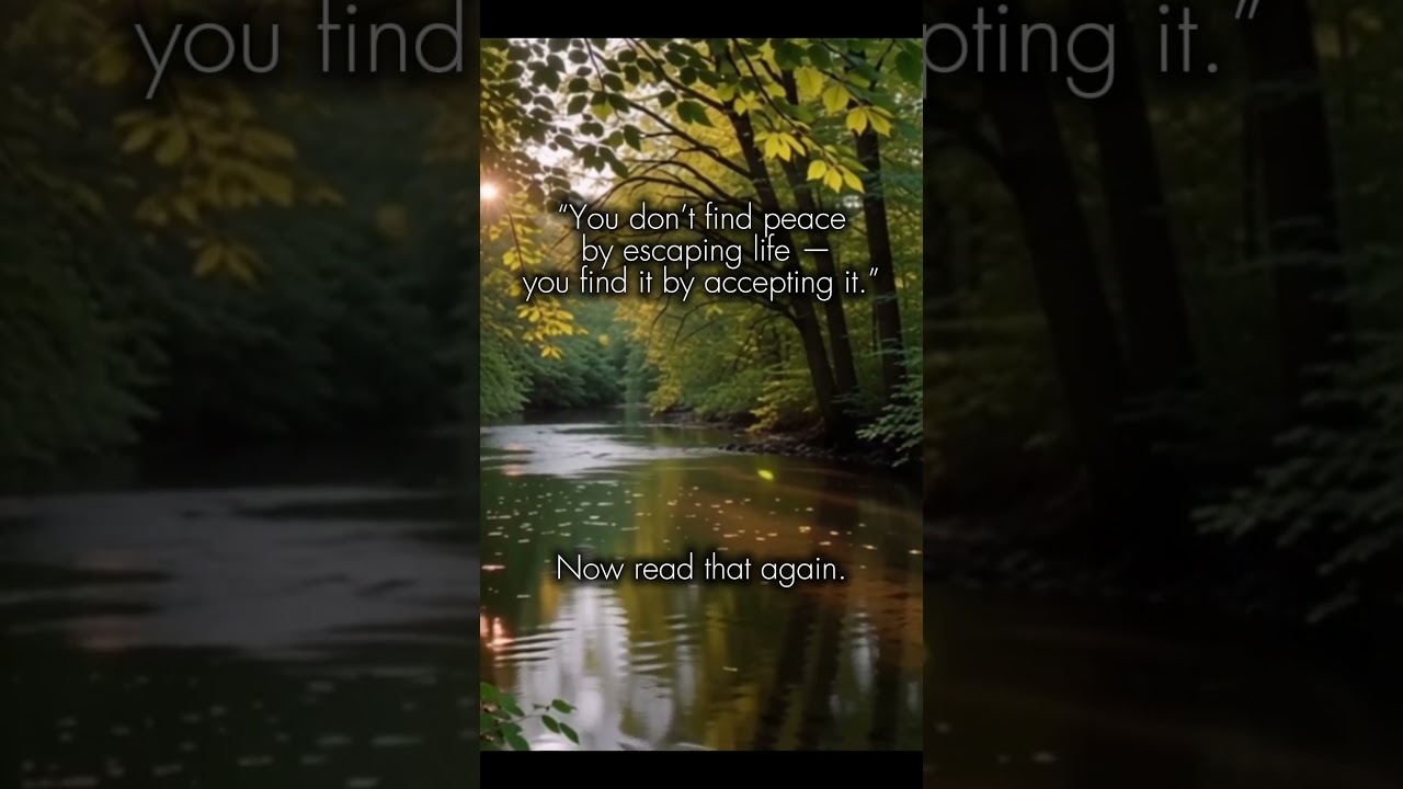 Peace Isn’t Escape — It’s Acceptance 🌿✨ #quotes #motivation #deepquotes #foryou #viral #shorts