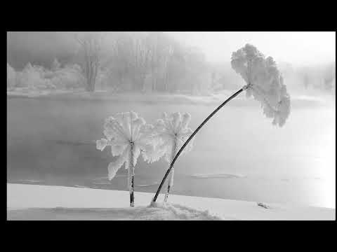 Gary Brooker   In memoriam