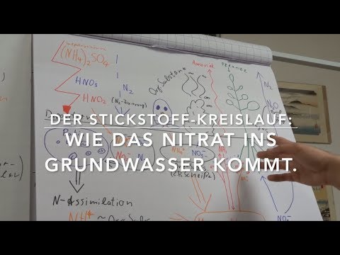 Nitrate in groundwater: The nitrogen cycle (lecture)