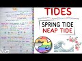 Tides Spring Neap Tides World Geography Handwritten Notes Lec 26 An Aspirant