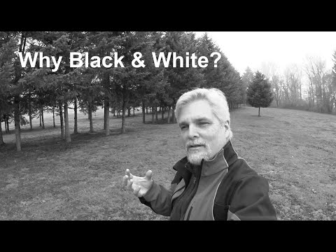 Seeing Monochrome | Why Black and White Photography?