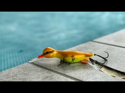 Bedste gedde wobler// Best pike lures