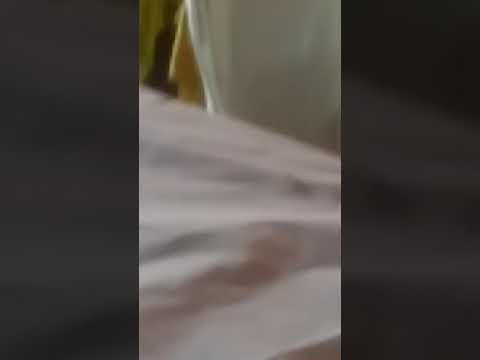 Zwwwwww mpomxkmr
