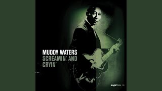 I Can&#39;t Be Satisfied (Looking For My Baby)