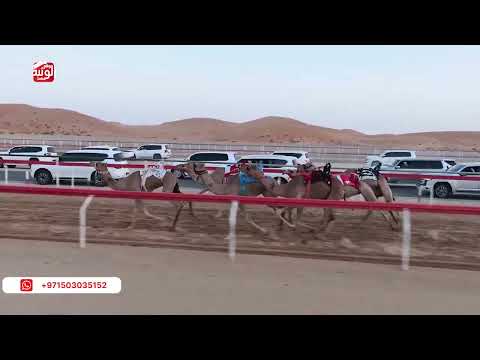  ش 3 (شواهين) لـ سلطان خليفه بن نجحي الدرعي 3:06:33 ، شارة الصندوق 2026/08/29 فطامين الرقيعات
