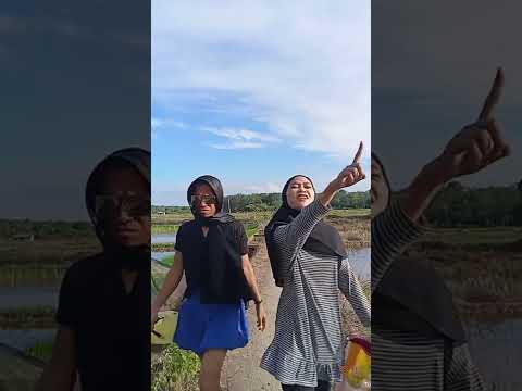 Kesawah Mencari Genjer - Komedi Jambi