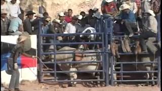 CORRIDOS DE CABALLOS. LABERINTO.mp4