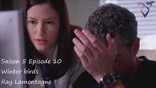 Grey's Anatomy S5E10 - Winter birds - Ray Lamontagne
